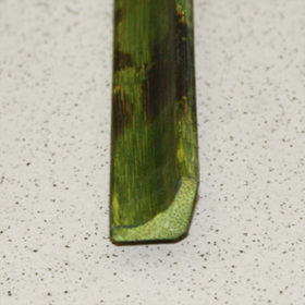 ������ ������� D 05-07