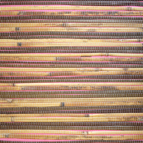 ���� �����������  d-3131L
