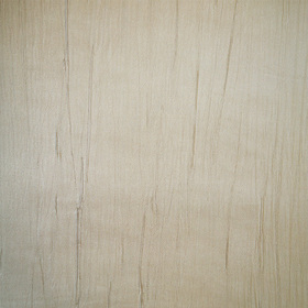 ���� �����������  tg-4004