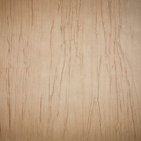���� �����������  tg-4006
