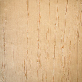 ���� �����������  tg-4007